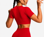 PGMD Top